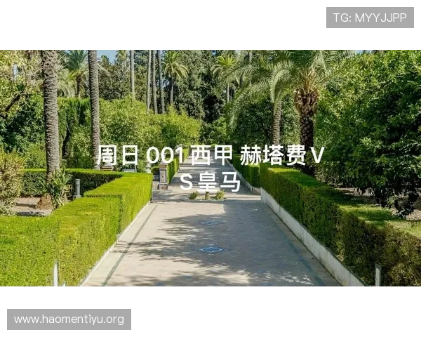 足彩胜负预测分析帮助玩家提升竞猜准确率的实用技巧与方法介绍 足彩胜负预测分析帮助玩家提升竞猜准确率的实用技巧与方法介绍